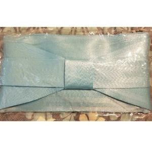 Robins egg mini clutch